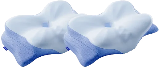 Derila 1 Pillow